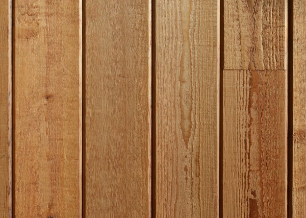 ウエスタンレッドシダー　イメージ